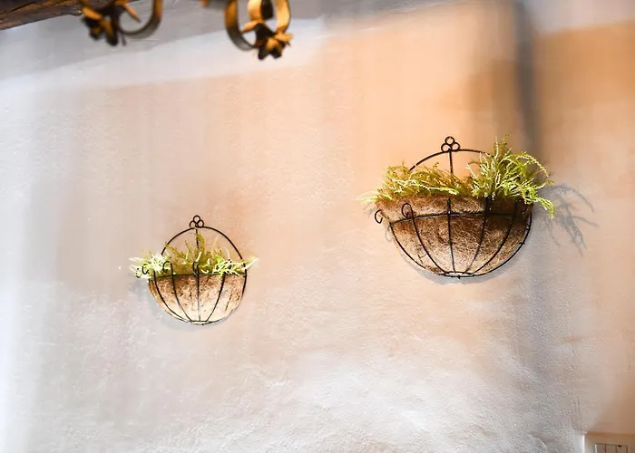 Kokoshi, An Extraordinary Experience. * Berat