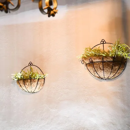 Kokoshi, An Extraordinary Experience. * 培拉特